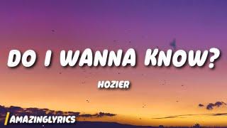 Hozier  Do I Wanna Know [upl. by Leftwich]