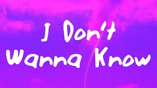 Mario Winans  I Dont Wanna Know Lyrics [upl. by Gagnon23]