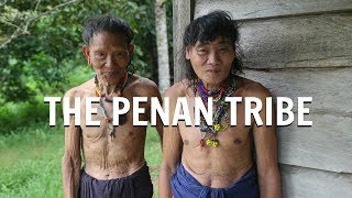 The Penan Tribe [upl. by Wons]