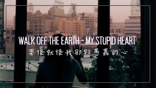 要怪就怪我那顆愚蠢的心  Walk off the Earth  My Stupid Heart 中英歌詞 [upl. by Ahdar959]