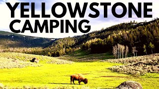 Yellowstone’s Best Campsites  10 Things You Need to Know [upl. by Shiri]