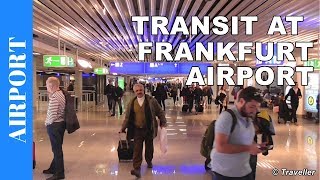 TRANSIT WALK AT FRANKFURT Airport FRA Terminal 1  Connection Flight Transfer Arriving amp Departing [upl. by Aile]