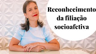 Reconhecimento de filiação socioafetiva  Natália Fachini [upl. by Sibyls]